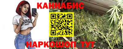 дмт Нальчик