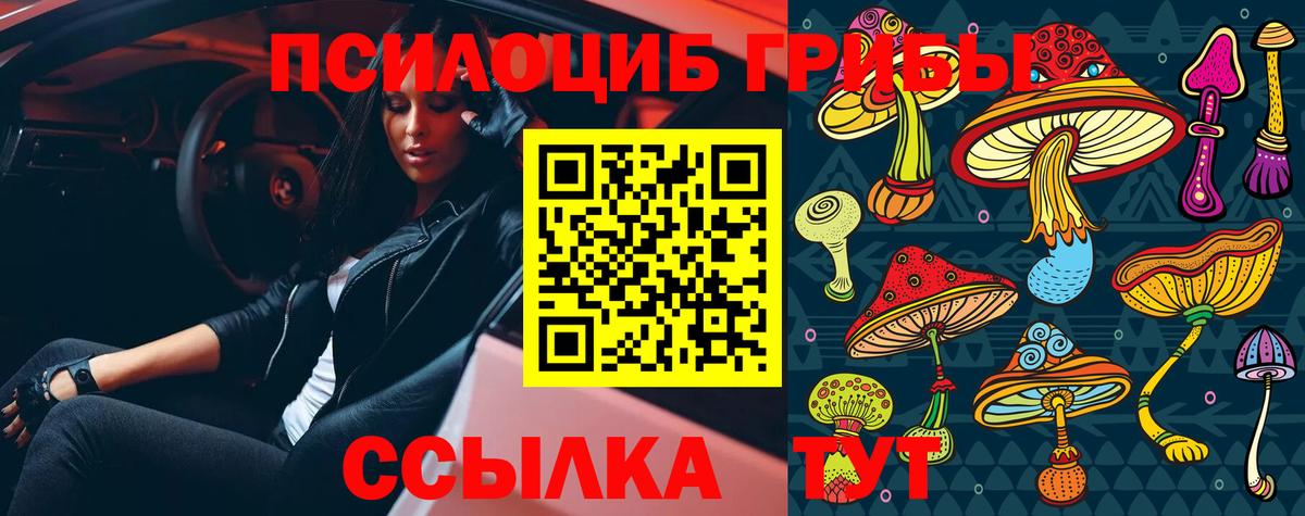Псилоцибиновые грибы ЛСД Фролово